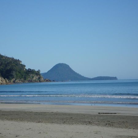 Beachfront Bliss Ohope Bagian luar foto