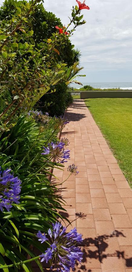 Beachfront Bliss Ohope Bagian luar foto